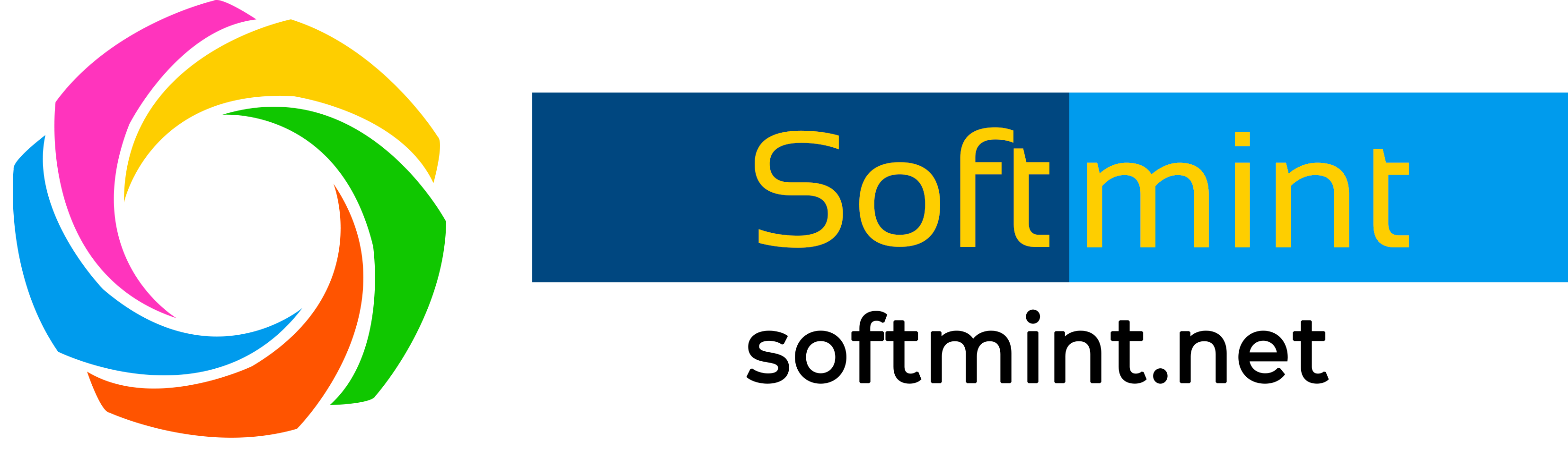 Softmint Software Solutions